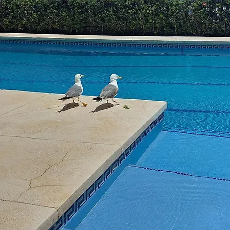 Balcon Sobre El Mar Апартаменты