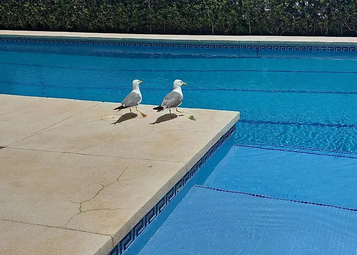 Balcon Sobre El Mar Terraza Vistas 1 Linea Playa Apartment